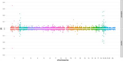 A statistical boosting framework for polygenic risk scores based on large-scale genotype data